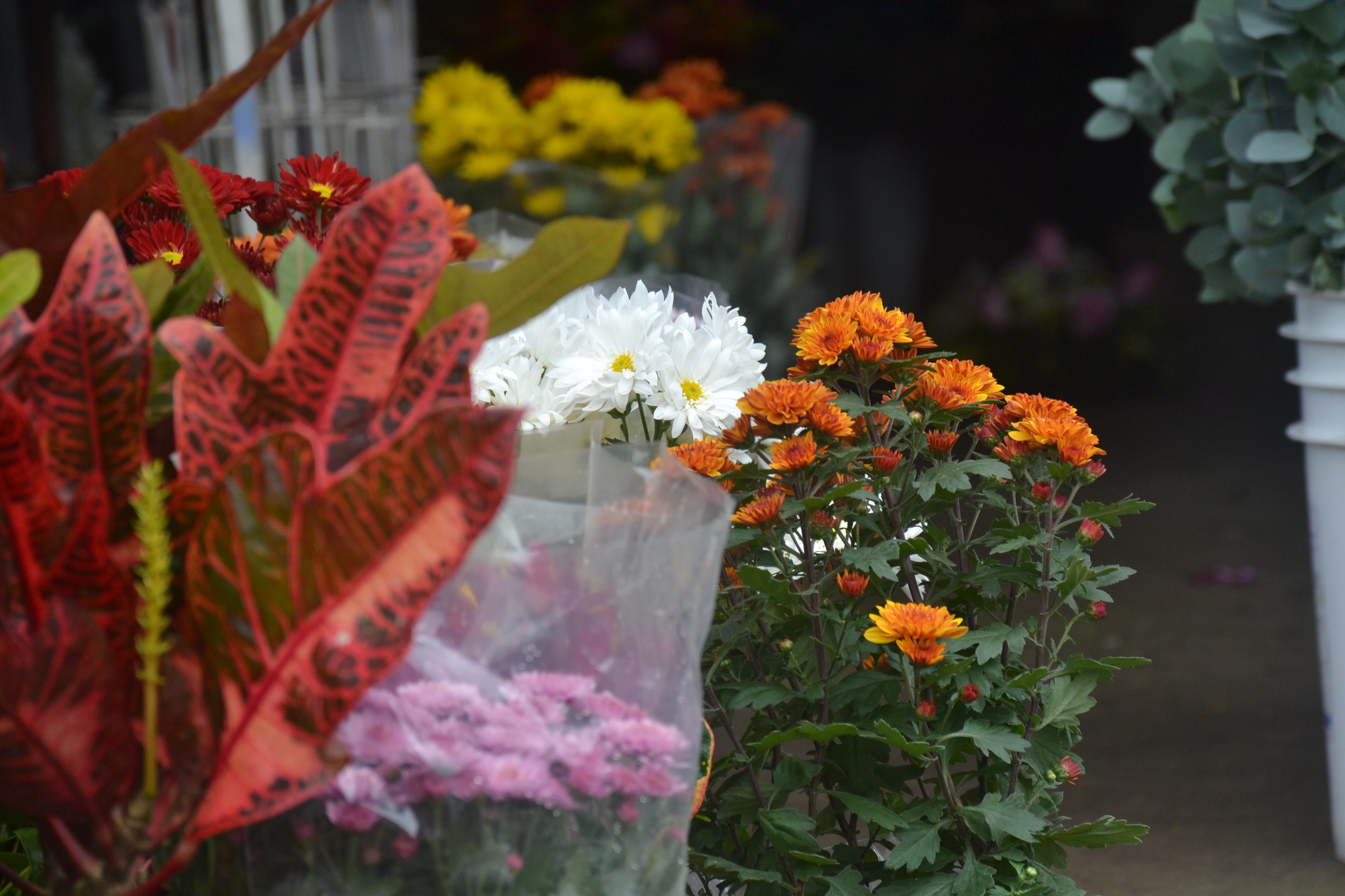 Arreglos y decoraciones florales Karicami - Ejemplos de nuestro trabajo