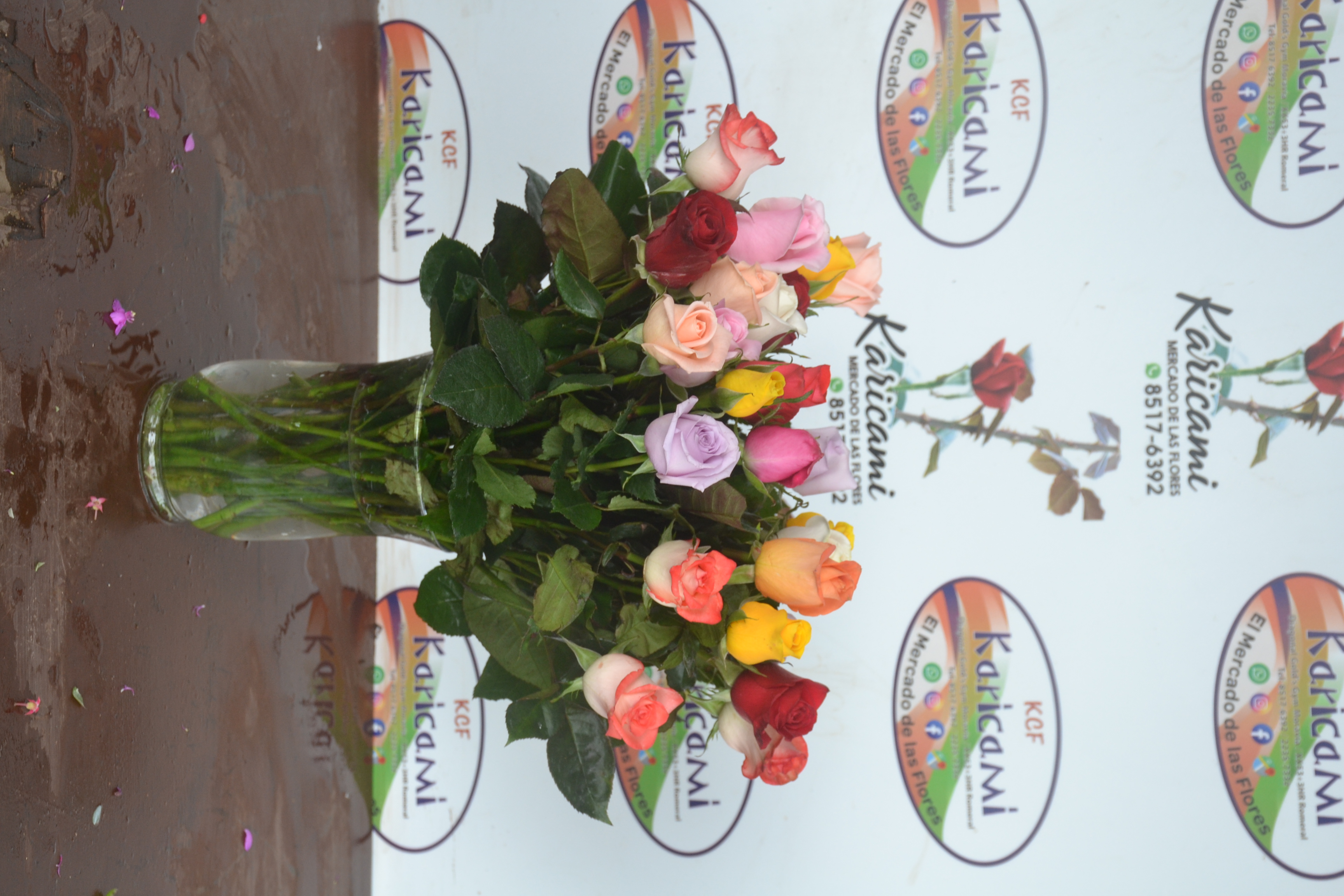 12 Rosas