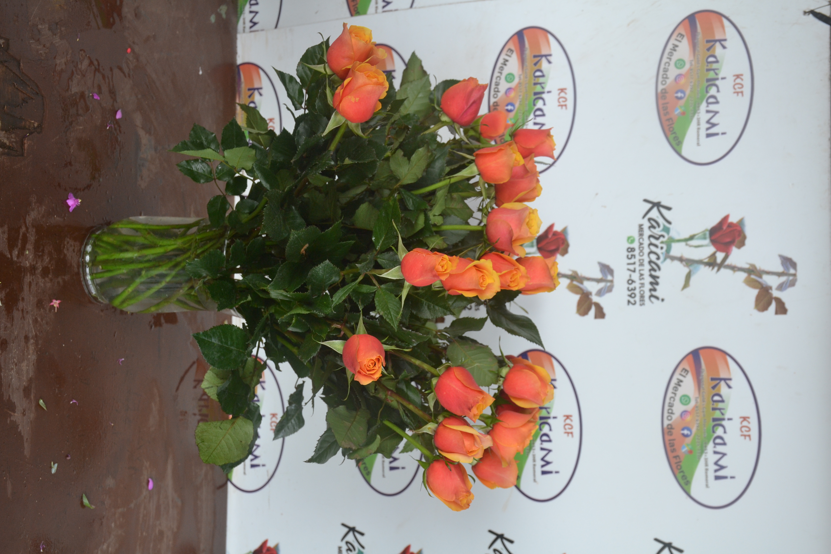12 Rosas