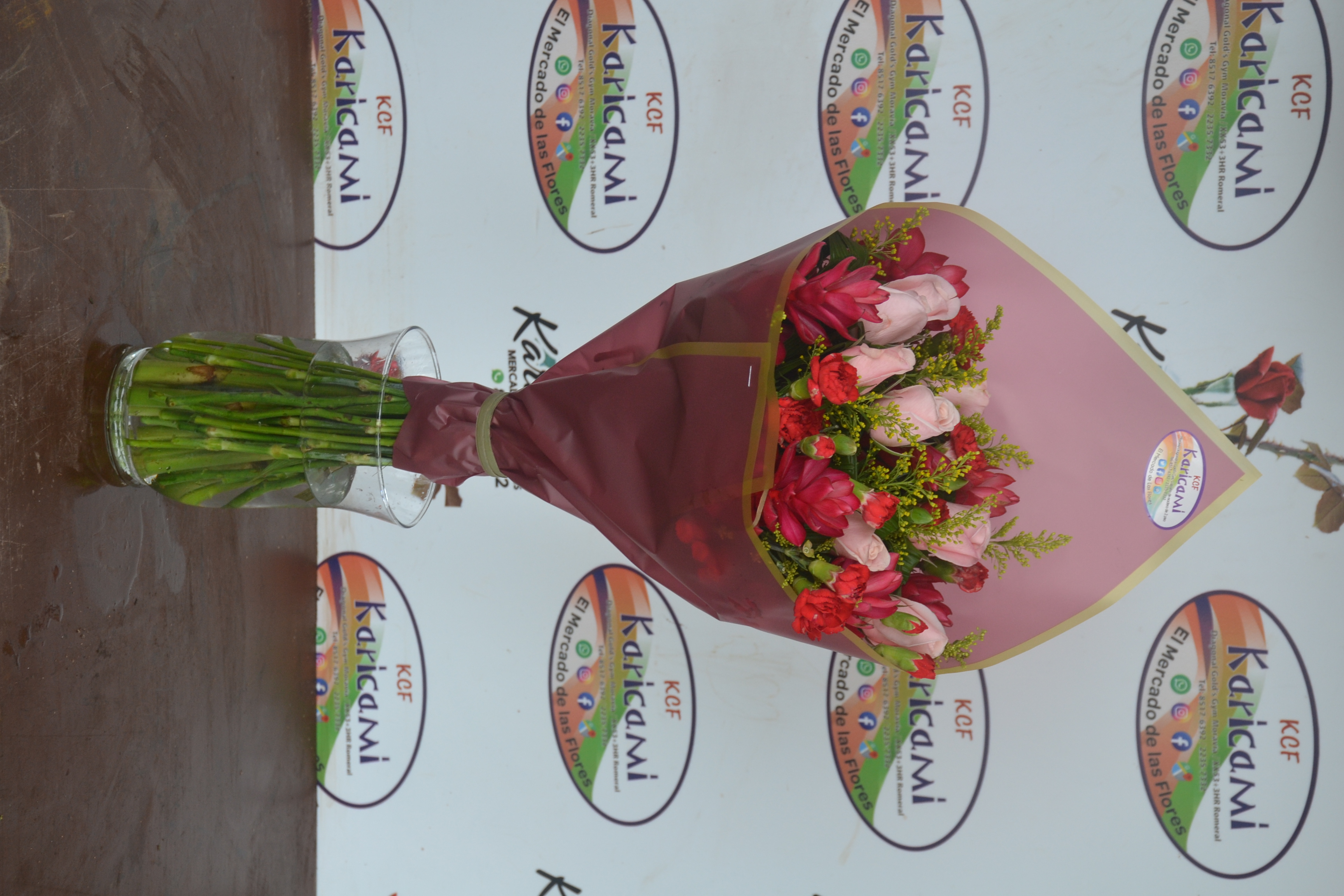 Mixto Tropical